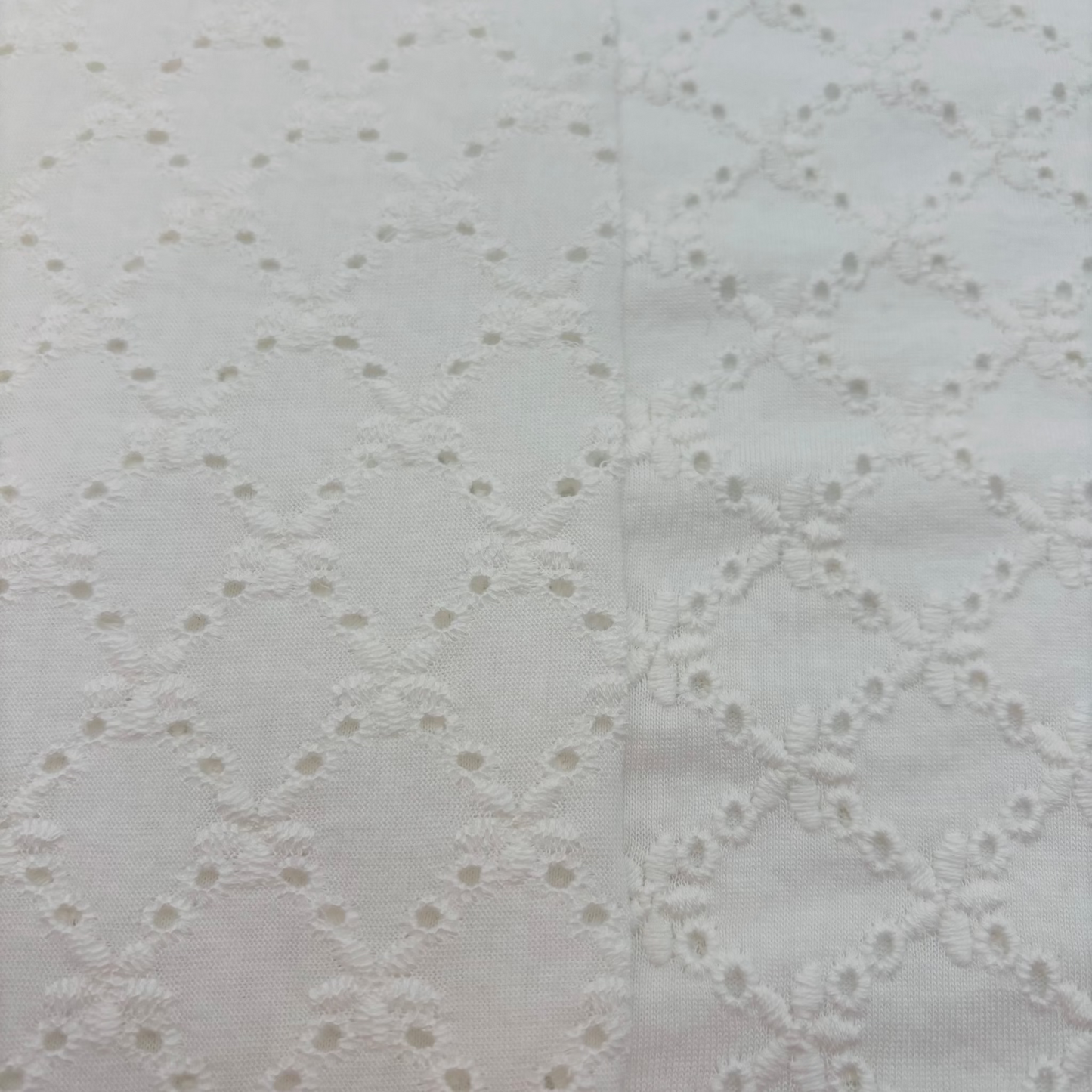 Baumwolljersey mit Lochstickerei, Broderie Anglaise – 100% Baumwolle, Wollweiß (Meterware)
