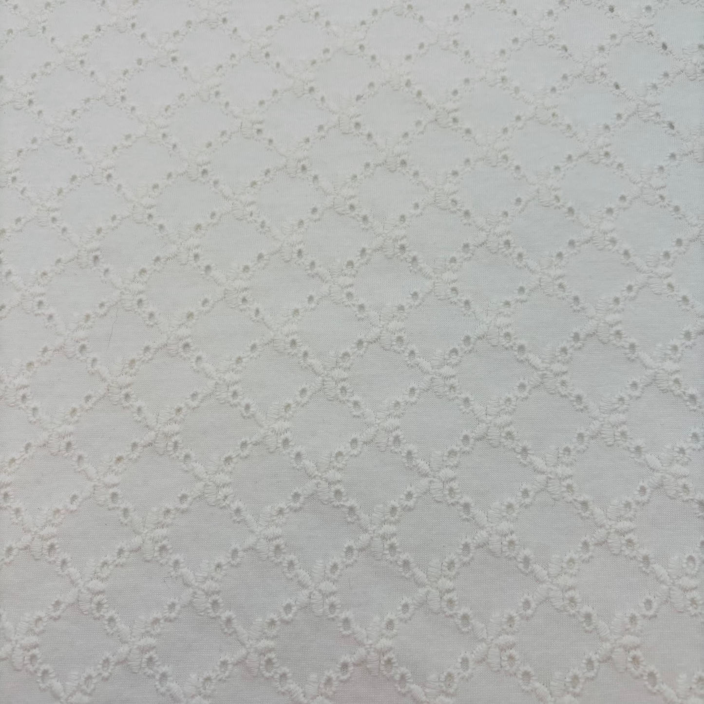 Baumwolljersey mit Lochstickerei, Broderie Anglaise – 100% Baumwolle, Wollweiß (Meterware)